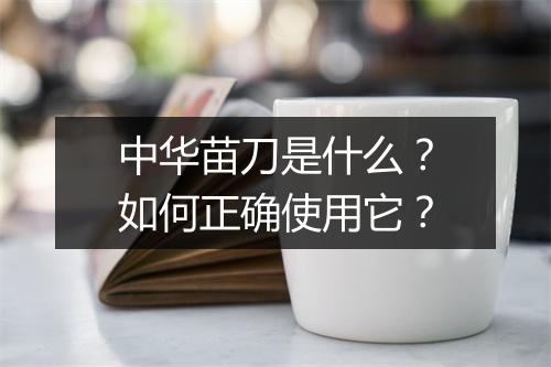 中华苗刀是什么？如何正确使用它？