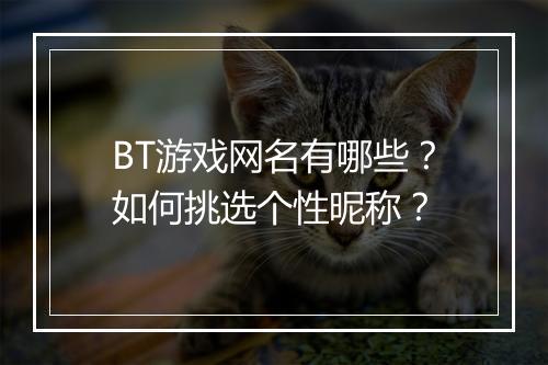 BT游戏网名有哪些？如何挑选个性昵称？