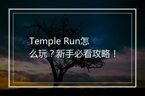 Temple Run怎么玩？新手必看攻略！