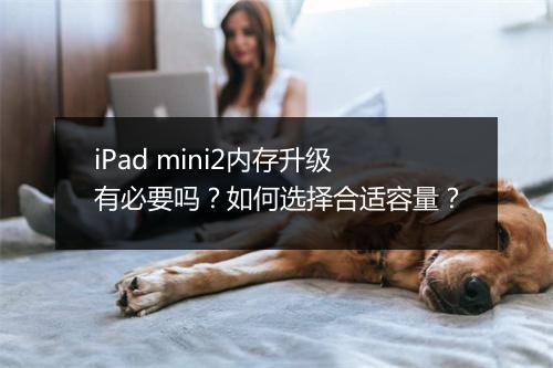 iPad mini2内存升级有必要吗？如何选择合适容量？
