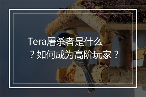 Tera屠杀者是什么?如何成为高阶玩家?