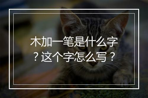 木加一笔是什么字？这个字怎么写？