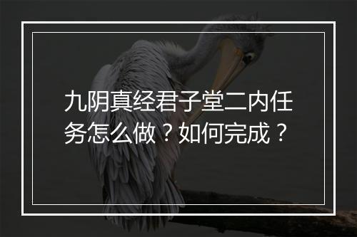 九阴真经君子堂二内任务怎么做？如何完成？
