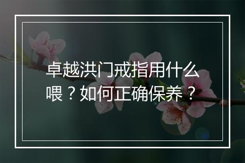 卓越洪门戒指用什么喂？如何正确保养？
