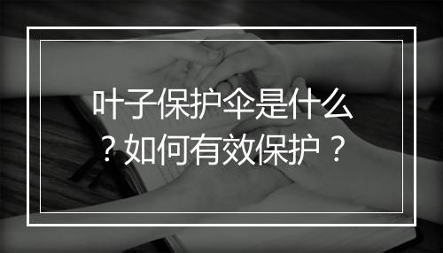 叶子保护伞是什么？如何有效保护？