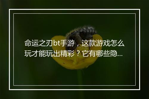 命运之刃bt手游，这款游戏怎么玩才能玩出精彩？它有哪些隐藏玩法？