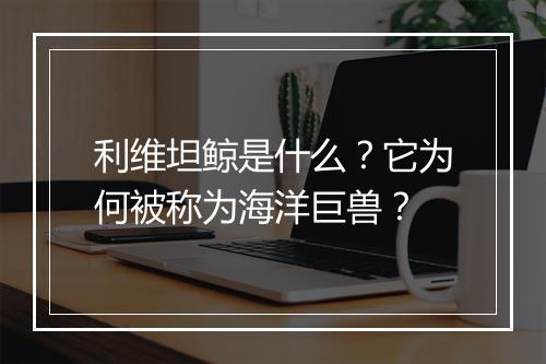 利维坦鲸是什么？它为何被称为海洋巨兽？