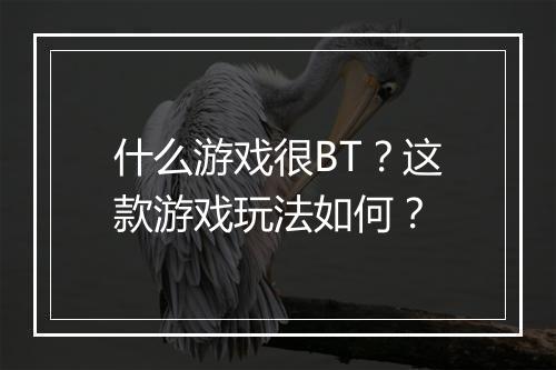 什么游戏很BT？这款游戏玩法如何？