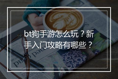 bt狗手游怎么玩？新手入门攻略有哪些？