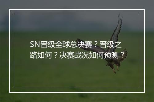 SN晋级全球总决赛？晋级之路如何？决赛战况如何预测？