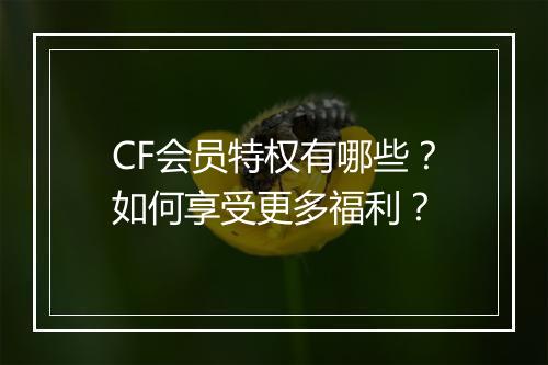 CF会员特权有哪些？如何享受更多福利？