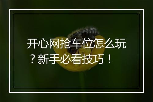 开心网抢车位怎么玩?新手必看技巧!