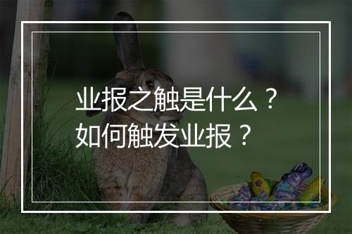 业报之触是什么？如何触发业报？