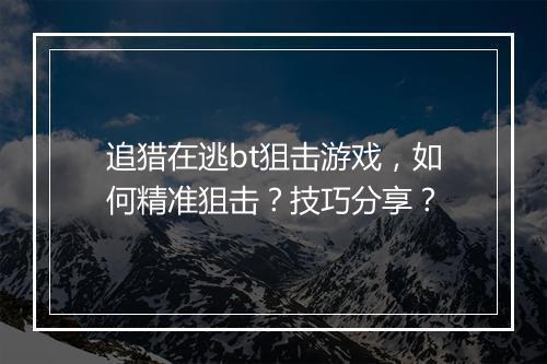 追猎在逃bt狙击游戏，如何精准狙击？技巧分享？
