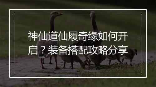 神仙道仙履奇缘如何开启?装备搭配攻略分享