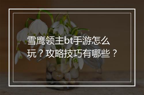 雪鹰领主bt手游怎么玩?攻略技巧有哪些?