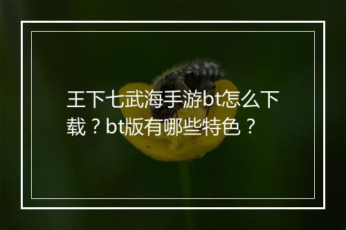 王下七武海手游bt怎么下载?bt版有哪些特色?