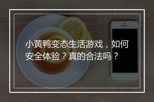 小黄鸭变态生活游戏,如何安全体验?真的合法吗?