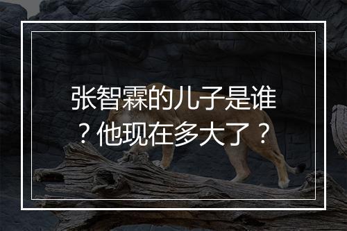 张智霖的儿子是谁?他现在多大了?