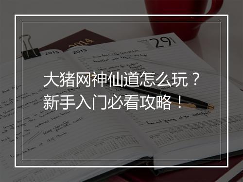 大猪网神仙道怎么玩?新手入门必看攻略!