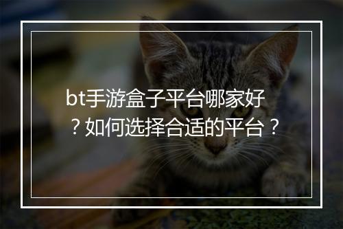 bt手游盒子平台哪家好？如何选择合适的平台？