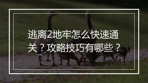 逃离2地牢怎么快速通关?攻略技巧有哪些?