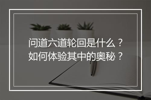 问道六道轮回是什么?如何体验其中的奥秘?