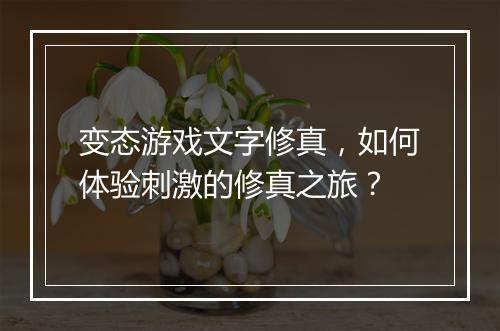 变态游戏文字修真，如何体验刺激的修真之旅？