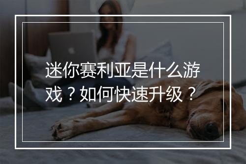 迷你赛利亚是什么游戏?如何快速升级?