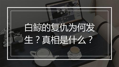 白鲸的复仇为何发生?真相是什么?