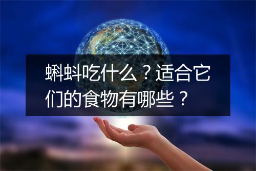 蝌蚪吃什么?适合它们的食物有哪些?