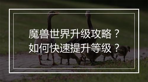 魔兽世界升级攻略?如何快速提升等级?
