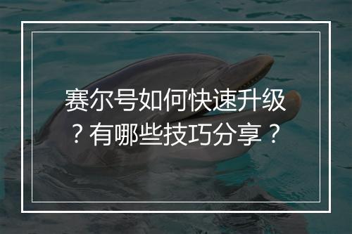 赛尔号如何快速升级？有哪些技巧分享？
