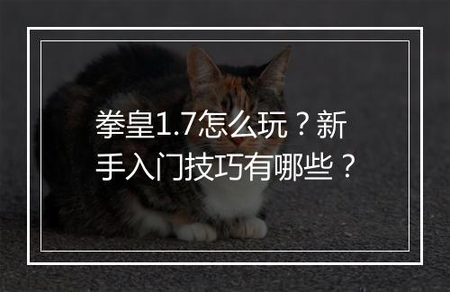 拳皇1.7怎么玩?新手入门技巧有哪些?