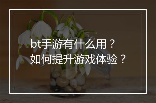 bt手游有什么用?如何提升游戏体验?