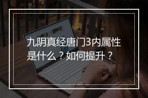 九阴真经唐门3内属性是什么？如何提升？