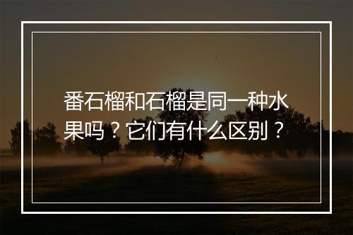番石榴和石榴是同一种水果吗?它们有什么区别?