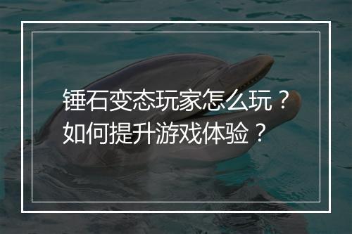 锤石变态玩家怎么玩？如何提升游戏体验？