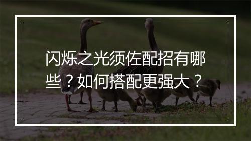 闪烁之光须佐配招有哪些?如何搭配更强大?