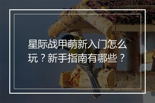 星际战甲萌新入门怎么玩?新手指南有哪些?