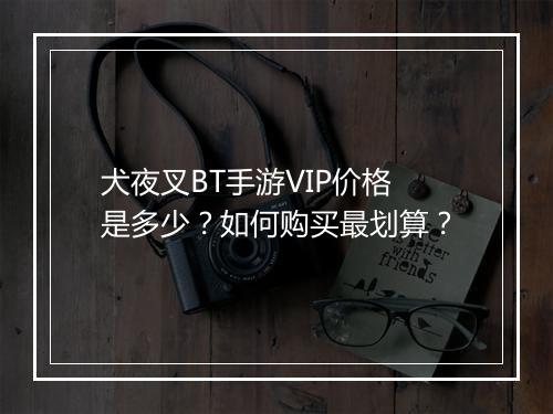 犬夜叉BT手游VIP价格是多少？如何购买最划算？