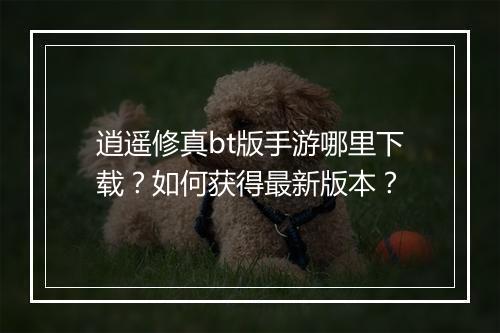 逍遥修真bt版手游哪里下载?如何获得最新版本?
