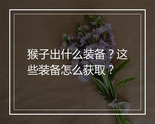 猴子出什么装备?这些装备怎么获取?
