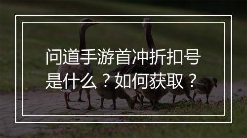 问道手游首冲折扣号是什么?如何获取?