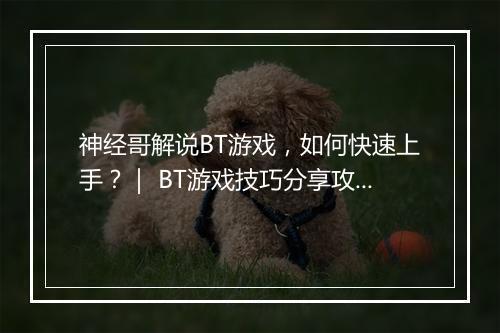 神经哥解说BT游戏，如何快速上手？｜ BT游戏技巧分享攻略