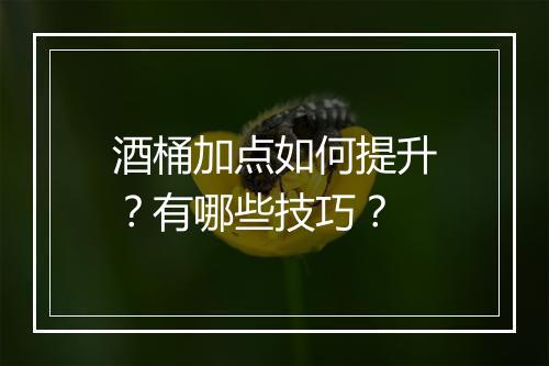 酒桶加点如何提升?有哪些技巧?