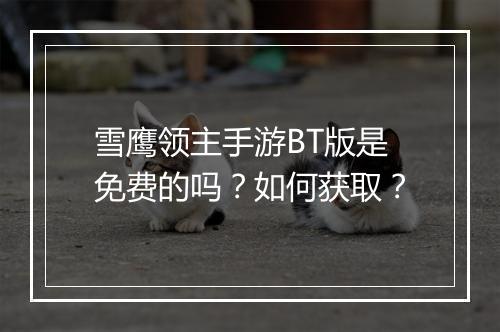 雪鹰领主手游BT版是免费的吗？如何获取？