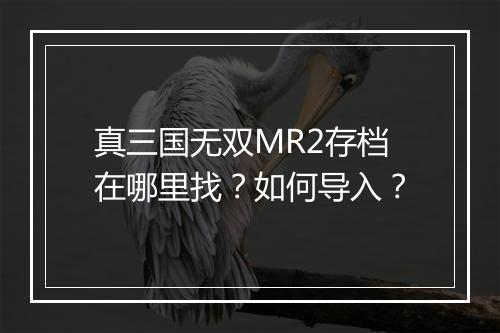真三国无双MR2存档在哪里找?如何导入?