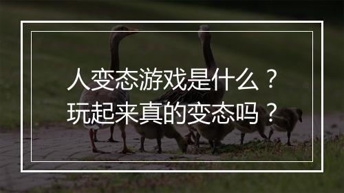 人变态游戏是什么?玩起来真的变态吗?