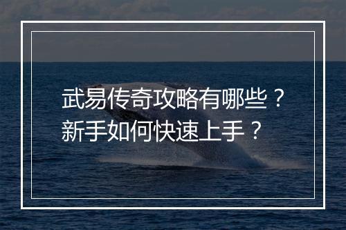 武易传奇攻略有哪些?新手如何快速上手?